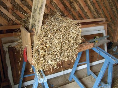finitions paille (enfin) (presque) finies finitions paille (enfin) (presque) finies